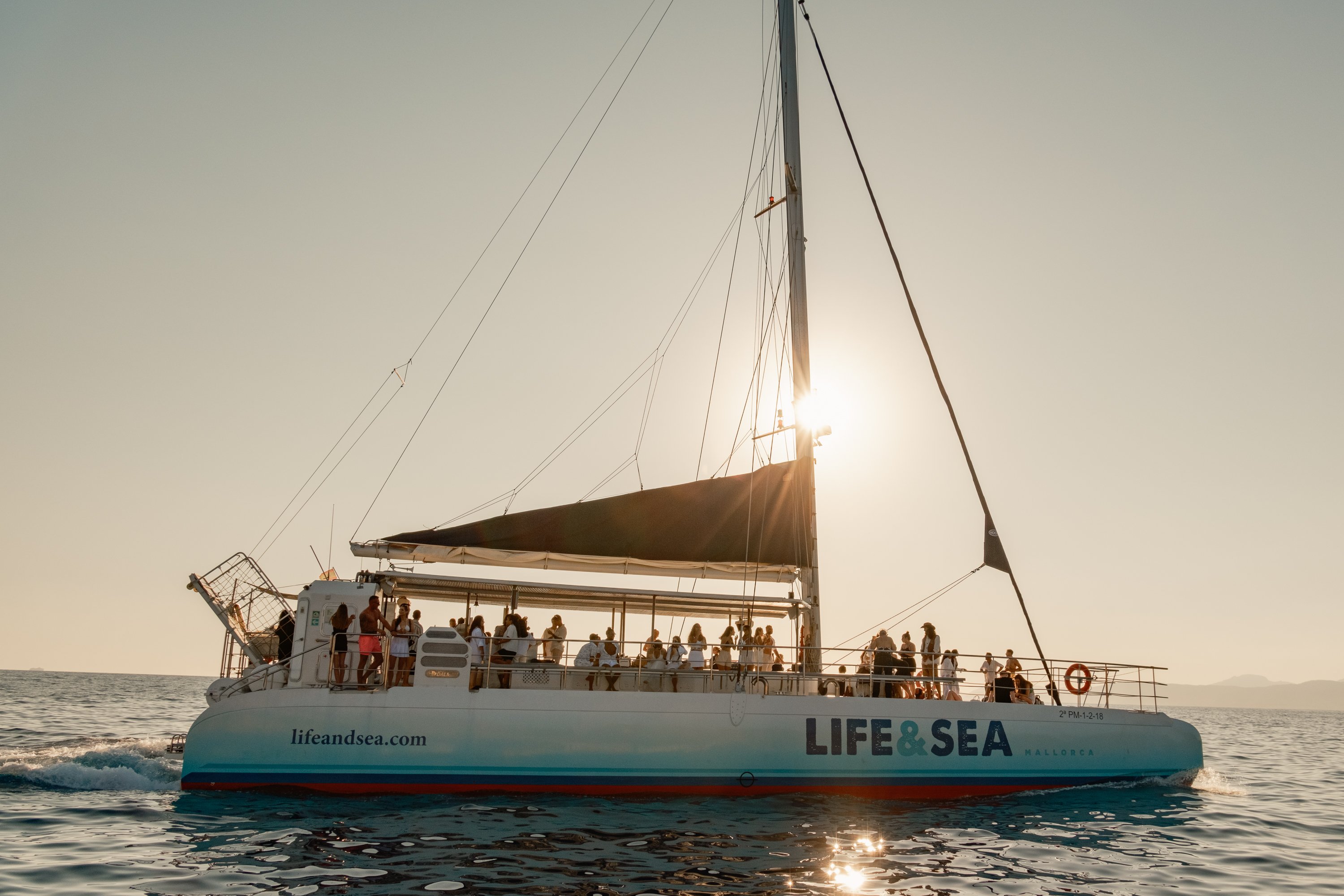 catamaran sunset